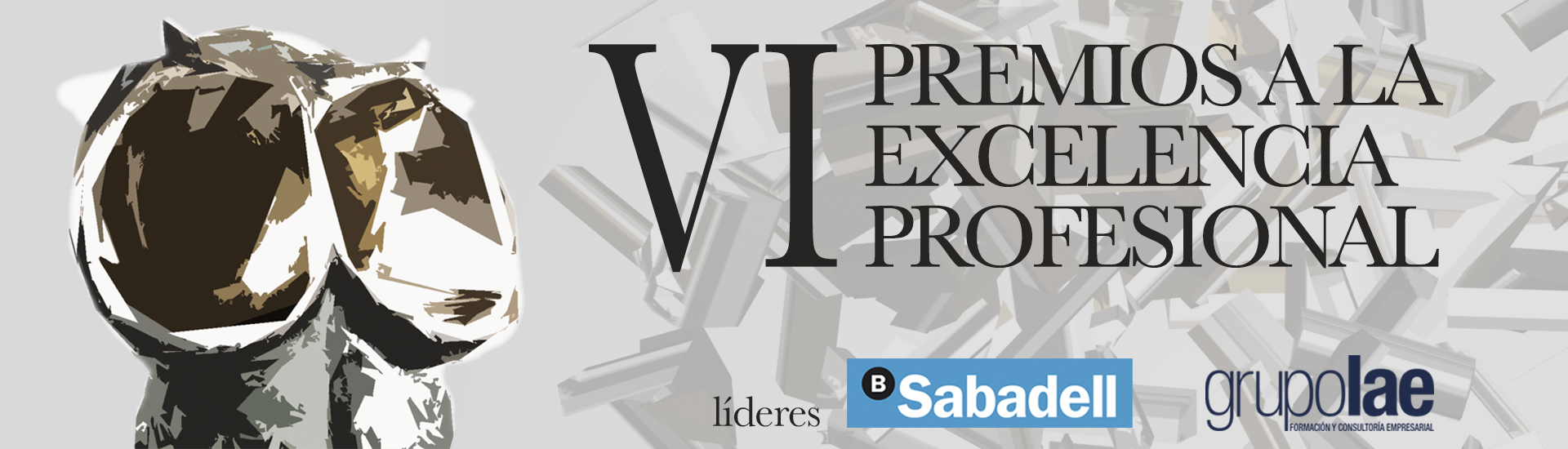 Las Provincias. El 27 de octubre se celebrará la Gala de los VI Premios a la Excelencia Profesional