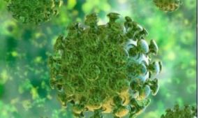 europapress:  El Colegio de Enfermería de Valencia alerta de que la  Comunitat  Valenciana vuelve a ser la región con más personal sanitario contagiado de covid