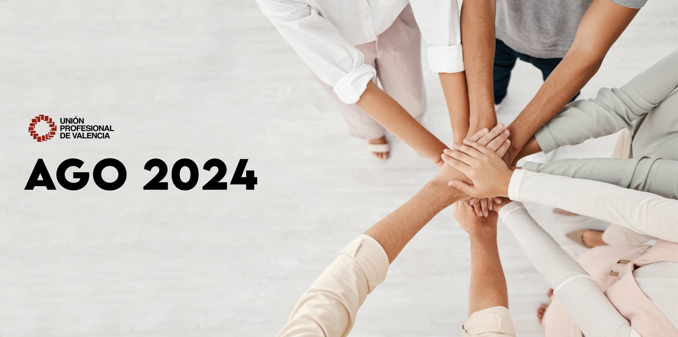 Assemblea General Ordinària d'UPdV